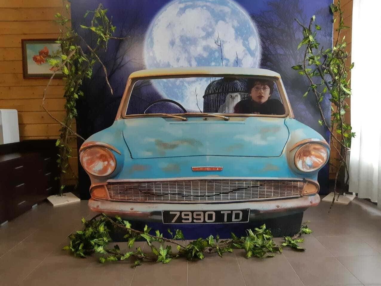 Фотозона Гарри Поттер