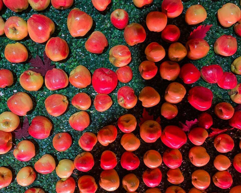 фотозона осенняя с яблоками